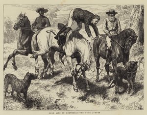 Bush Life in Australia, the Buck Jumper by Basil Bradley